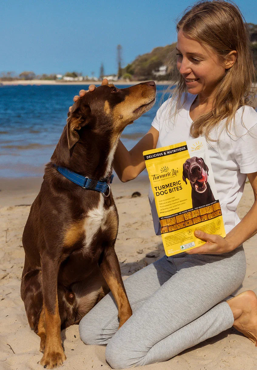 Turmeric Dog Bites for dogs